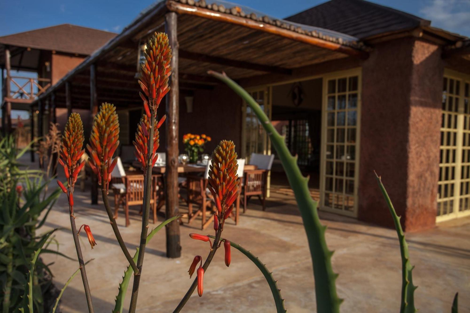 Kili Villa Kilimanjaro Luxury Retreat อารูชา ห้อง รูปภาพ