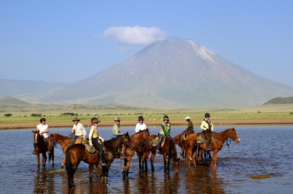 Kili Villa Kilimanjaro Luxury Retreat อารูชา ภายนอก รูปภาพ